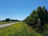 Old Springfield Rd photo